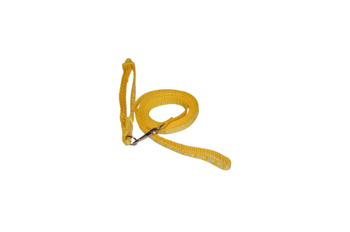 Ensemble " Collier & Laisse Patte"