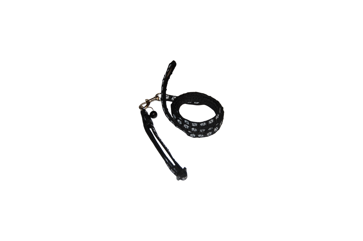 Ensemble " Collier & Laisse Patte"