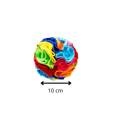 Balle interactive " de Fouille Colorée "