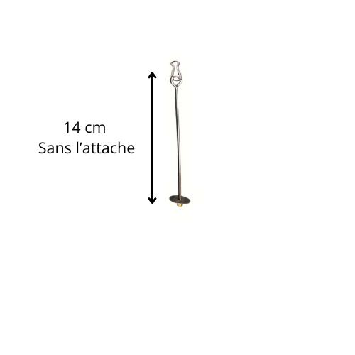Brochette " Fruits & Légumes " en Acier Inoxydable