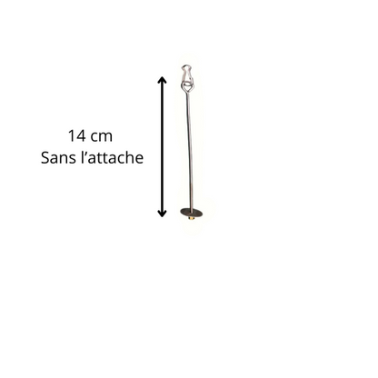 Brochette " Fruits & Légumes " en Acier Inoxydable