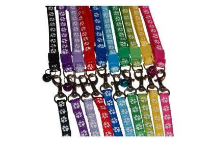 Ensemble " Collier & Laisse Patte"
