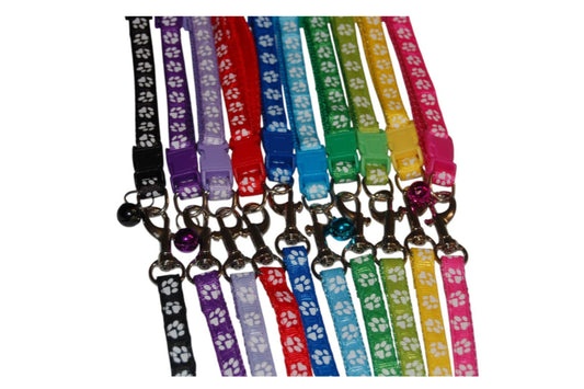 Ensemble " Collier & Laisse Patte"