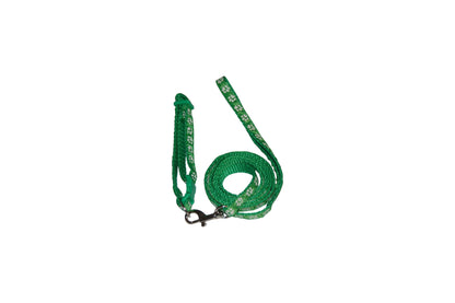 Ensemble " Collier & Laisse Patte"