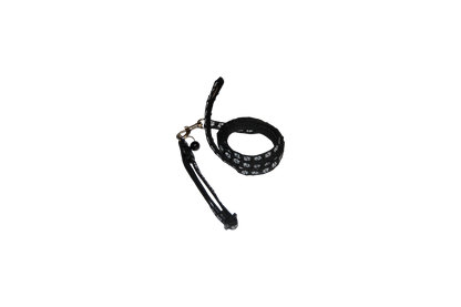 Ensemble " Collier & Laisse Patte"