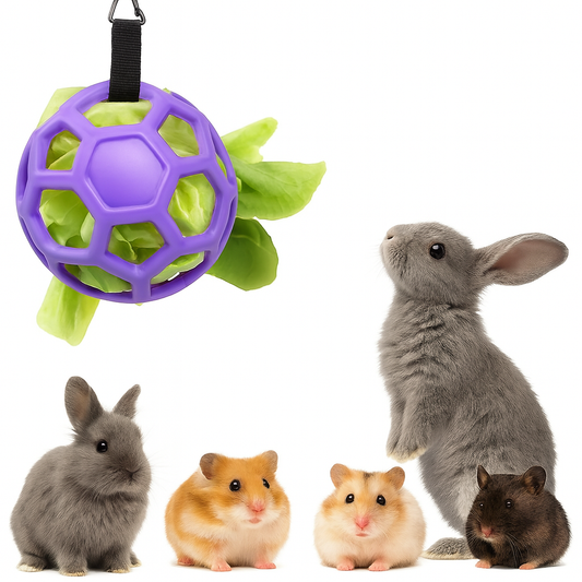 Jouet Interactif en Silicone