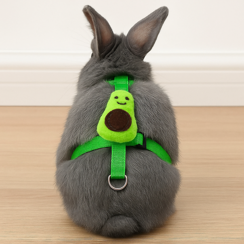 Harnais & Laisse " Avocat "