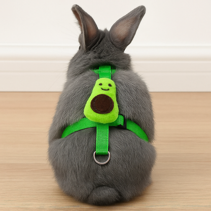 Harnais & Laisse " Avocat "