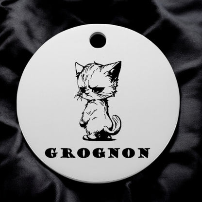 🐾 Médaillon 100% personnalisable en acier inoxydable