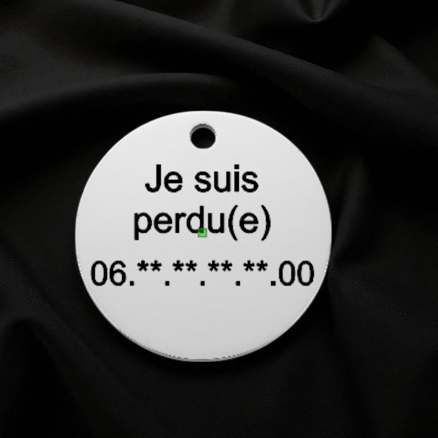 🐾 Médaillon 100% personnalisable en acier inoxydable