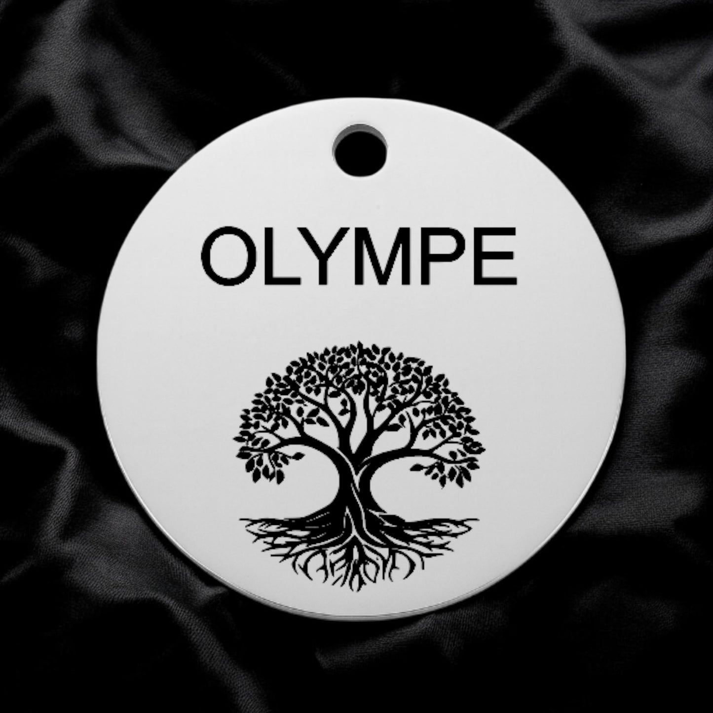 🐾 Médaillon 100% personnalisable en acier inoxydable