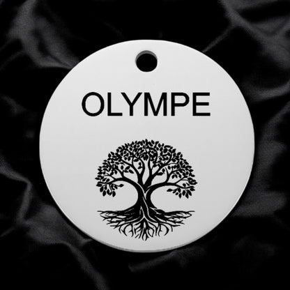 🐾 Médaillon 100% personnalisable en acier inoxydable