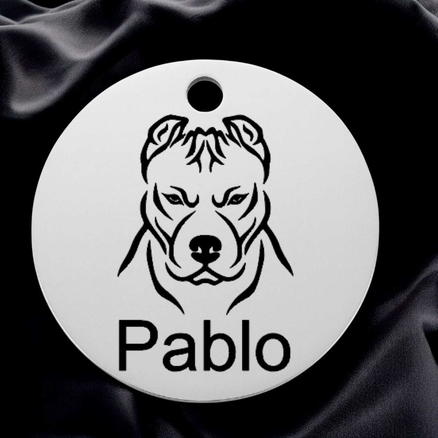 🐾 Médaillon 100% personnalisable en acier inoxydable