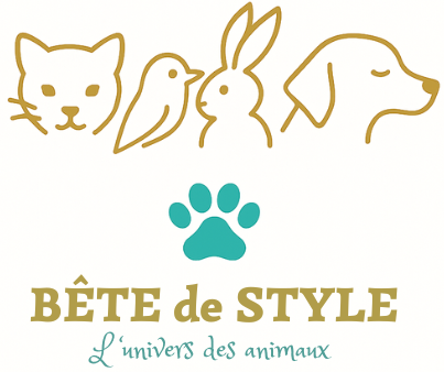 BÊTE de STYLE
